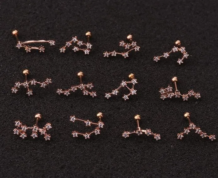 Twelve Constellation Stainless Steel Stud Earrings